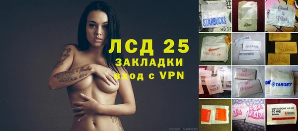 спиды Чита