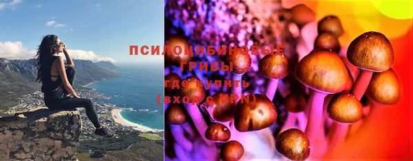 прущая мука Медногорск