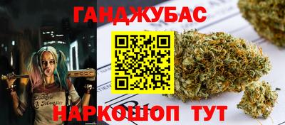 прущие грибы Волгодонск