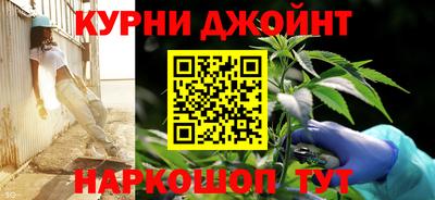 прущие грибы Волгодонск