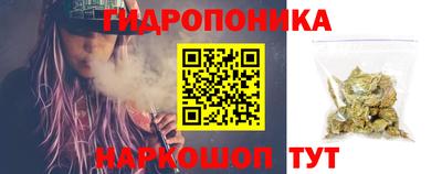 прущие грибы Волгодонск