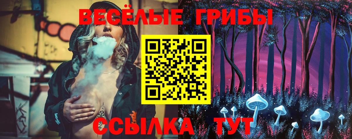 даркнет сайт  Вход с VPN  Гусь-Хрустальный  Псилоцибиновые грибы Cubensis 