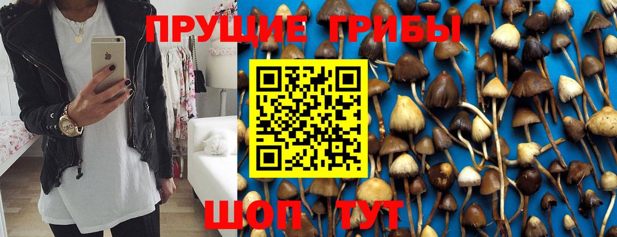 Псилоцибиновые грибы Psilocybe Гусь-Хрустальный