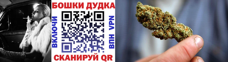 Бошки Шишки планчик  Гусь-Хрустальный 